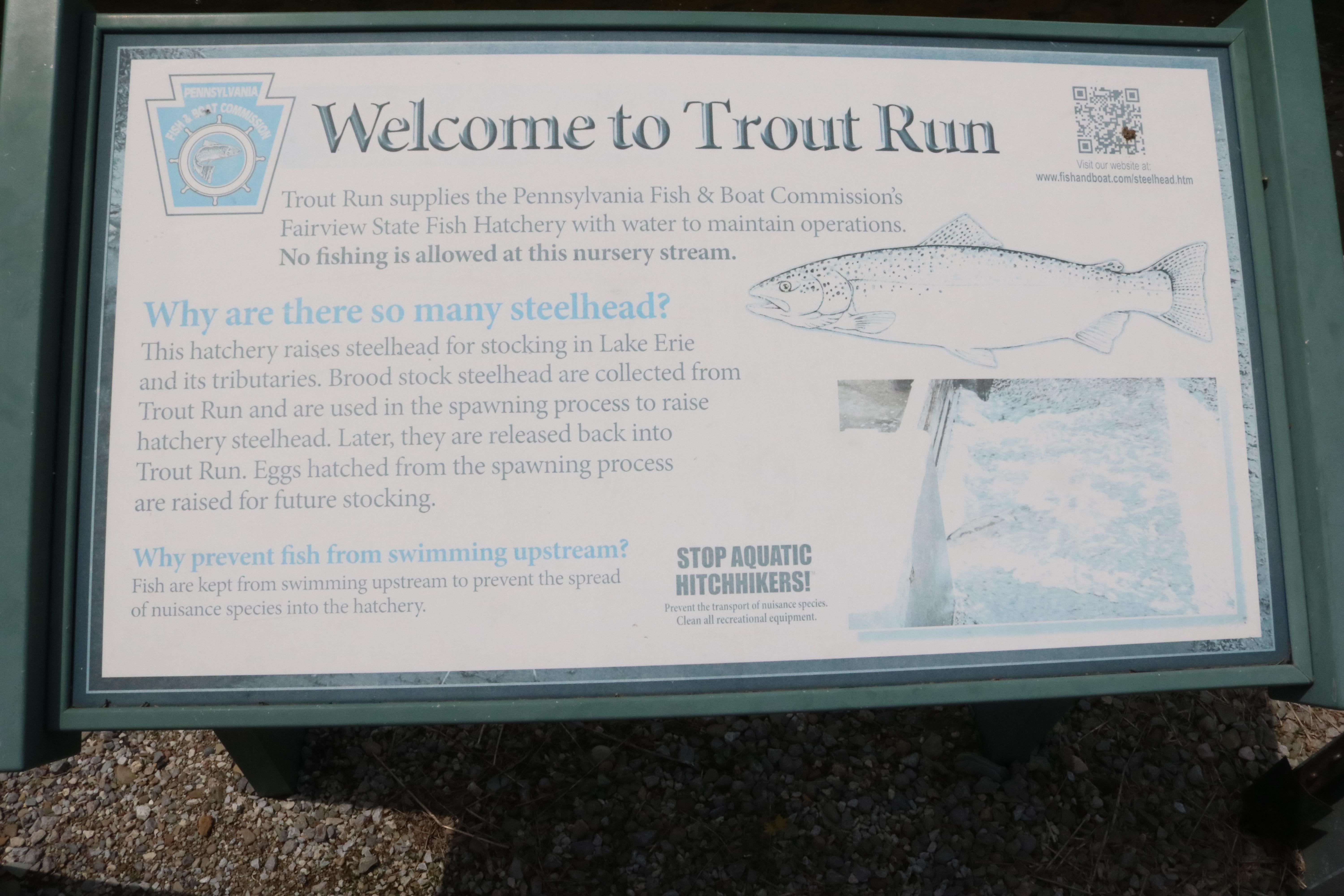 Trout Run Sign